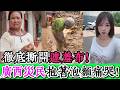 笑死了！北京這次丟臉丟到全世界！全球AI中心成立才兩天，竟爆出世界級大翻車！40萬問界M8救命SOS竟顯示欠費，車主嚇到換回寶馬！廣西災民抱著泡麵痛哭！｜Reaction Video