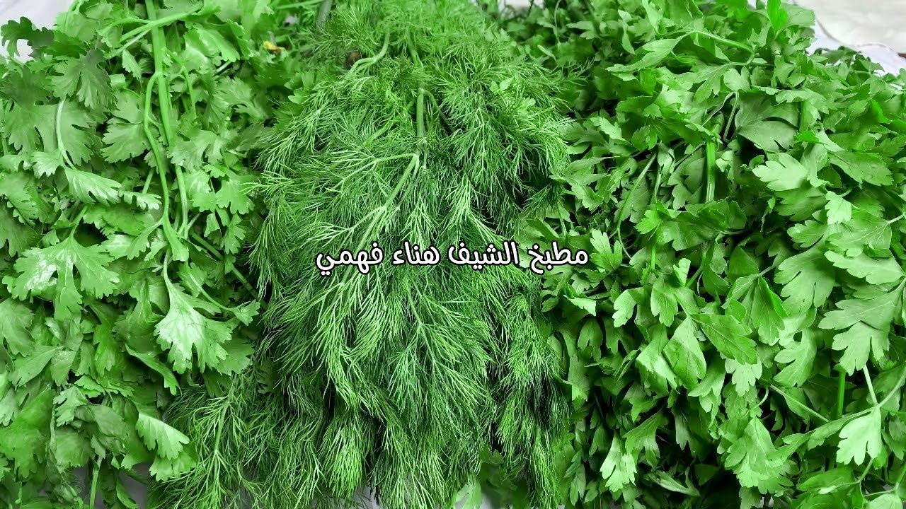 حفظ الخضرة البقدونس والشبت والكزبرة خارج الفريزر وداخل الفريزر وسيبك من اي طريقة تانيه👍