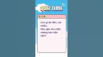 Câu đố vui hài hước #đốvui #quiz #riddles #funnyshorts #CâuĐốVui #CâuĐốHay #TríTuệ #VuiNhộn #GiảiĐố