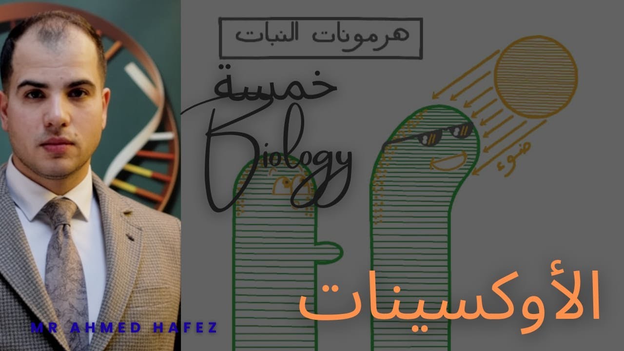 الاوكسينات في النبات ثانوية عامة