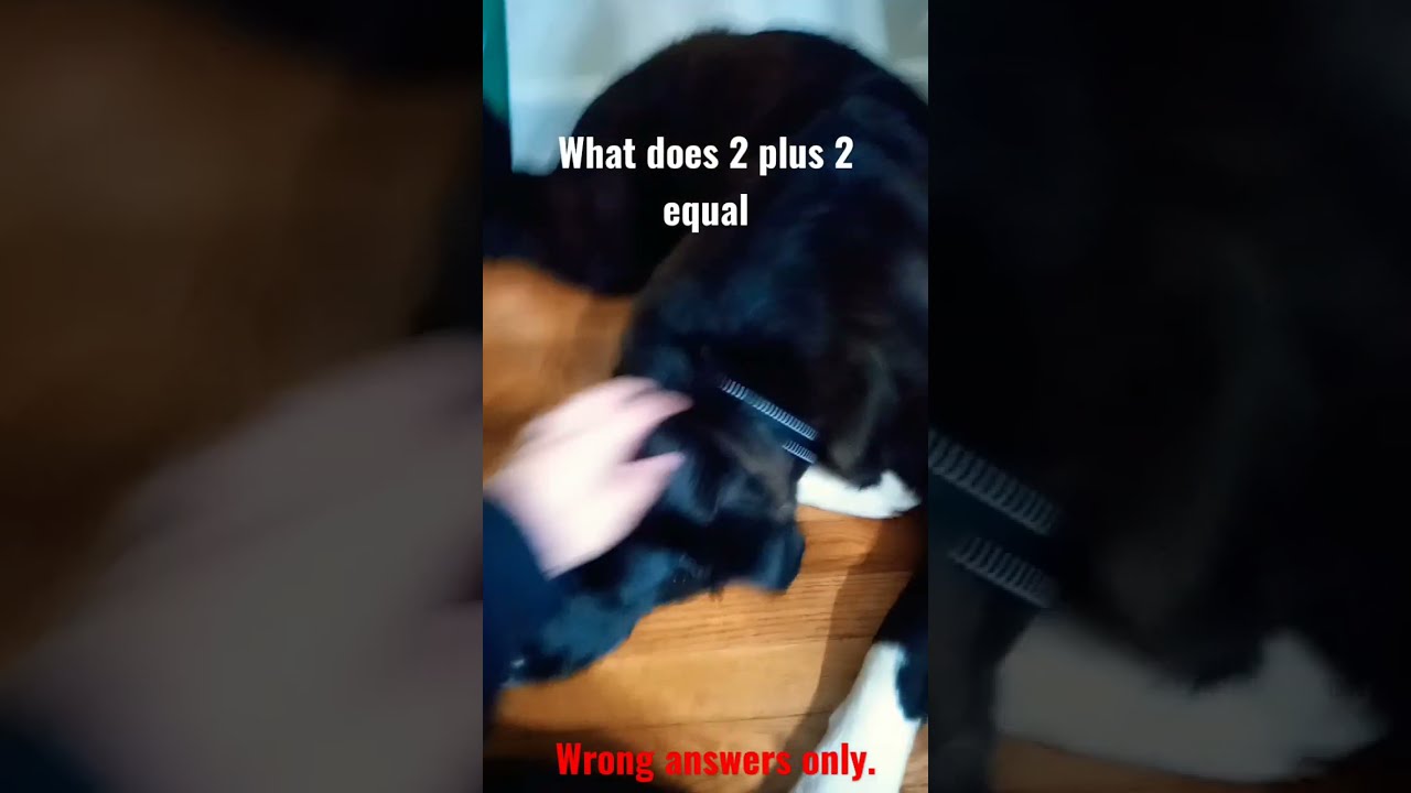 What Does 2 2 YouTube What Does 2 2 YouTube