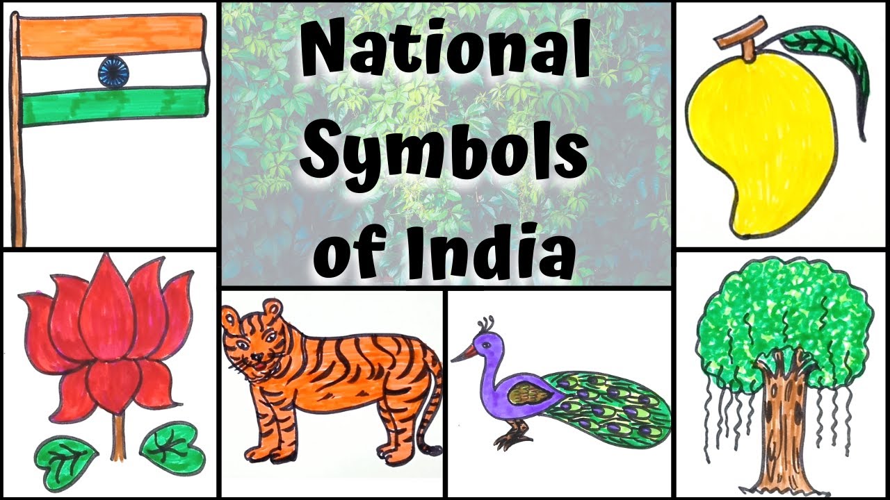 How to Draw National Symbols of India ( भारत के ...