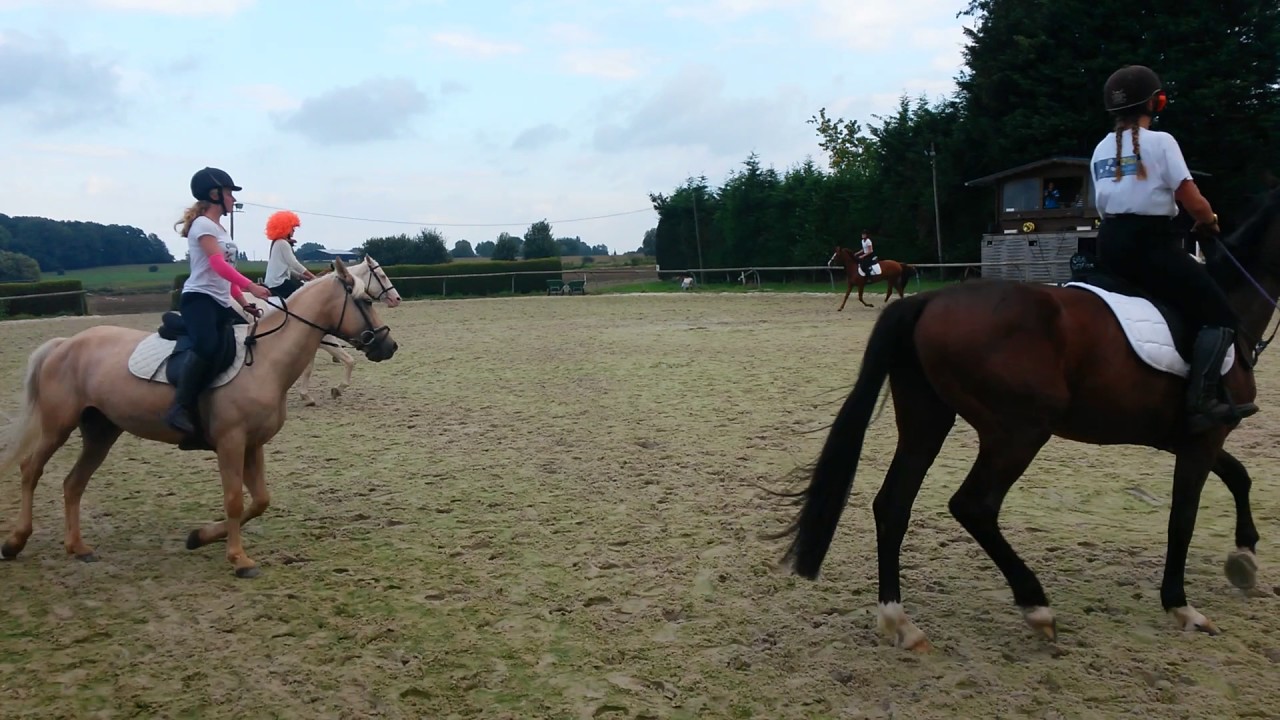 Poney Club Ucpa De Montigny Le Bretonneux