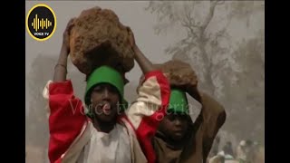 CSOs Worried About High Rate Of Gender Based Violence In Nigeria