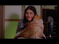 ASMR On My Cat تمشيط شعر القطقوط عسل اي اس ام ار ASMR On My Cat تمشيط شعر القطقوط عسل اي اس ام ار