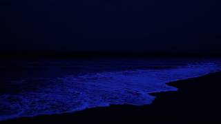 Deep Sleep Ocean Waves — Night Beach Sounds to Help You Sleep Through the Night