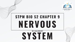 STPM BIOLOGY SEM 2 CHAPTER 9.1 NERVOUS SYSTEM | EP5 | NERVE IMPULSE CHARACTERISTIC | REFRACTORY