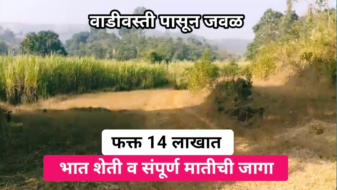 62 गुंठे जागा ! भात शेती व संपूर्ण मातीची जागा ! Best Agricultural Land.