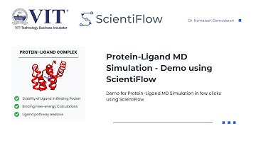 Run Protein–Ligand MD Simulations in Just a Few Clicks | ScientiFlow Product Demo