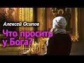 «Всё, чего ни будете просить в молитве, верьте, что получите, — и будет вам» (Мк. 11:24) — Осипов А.