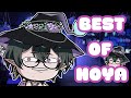 Hoya Out of Context is CRAZY | Best of Hoya Nightshade