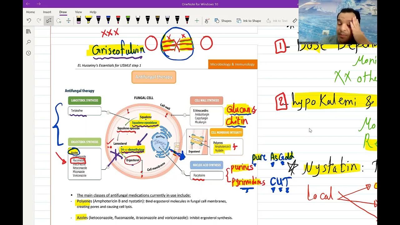 Antifungal, Antiviral. Antiretroviral Theapy For USMLE Step (Free trial