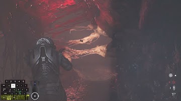 Hospital Dyrektor Door Code - Directors Code, Minimizing Losses Location Guide - Cronos The New Dawn