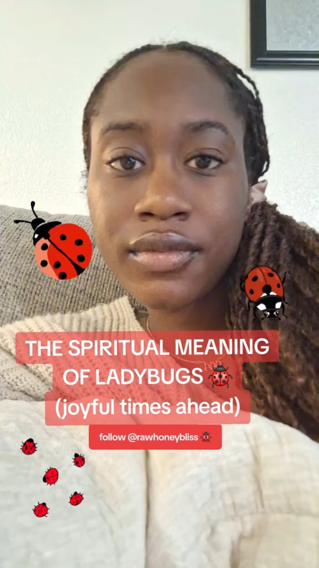The Spiritual Meaning Of Ladybugs ladybug ladybugs The Spiritual Meaning Of Ladybugs ladybug ladybugs