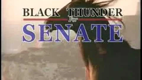 BLACK THUNDER by Bill Wasik, Eugene Mirman, Brian ...