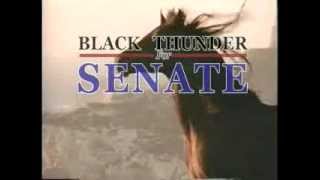 BLACK THUNDER by Bill Wasik, Eugene Mirman, Brian Spinks
