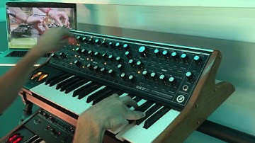 Julianna Barwick vs Sub 37 / Prophet 6 Jam