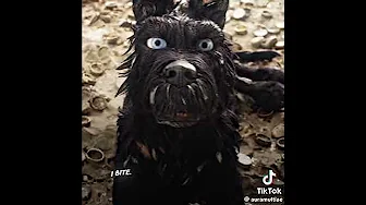 Isle of dogs x I bet on losing dogs -Mitski