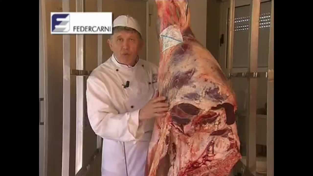 valutazione carcassa del bovino