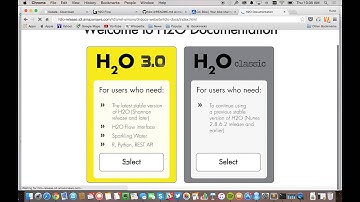 H2O R demo - Citi Bike