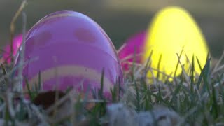 'Record breaking': Billings Easter bunnies hide 10,000 eggs in sixth year of business