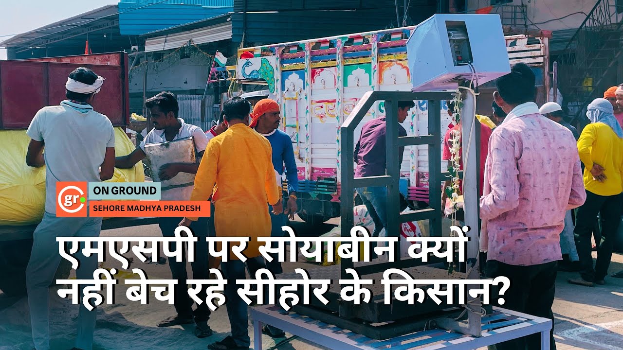 Soybean Crisis: Madhya Pradesh Farmers Stay Away from MSP, Here's Why?