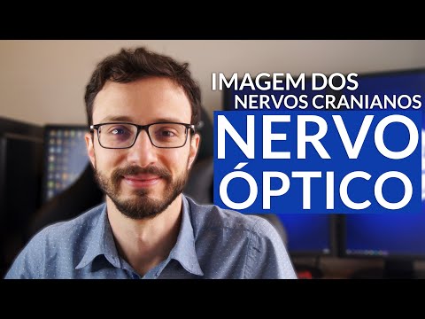 Vídeo: Inchaço Do Nervo óptico Em Gatos