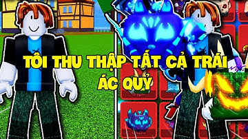 Tôi Thu Thập Tất Cả Trái Ác Quỷ Từ Level 1 Đến Max Trong Blox Fruits