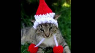 Funny Christmas Sweaters