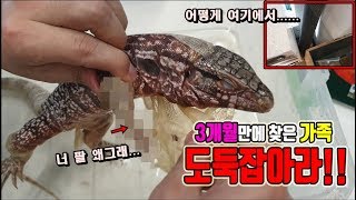 "3개월"만에 찾았는데 상태가.....헐....탈피껍질 시원함주의!!! [정브르]