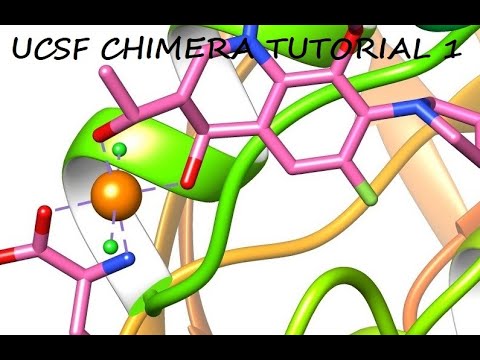 CHIMERA TUTORIAL 1 - YouTube