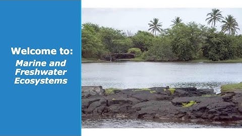 2020 PI-CASC Science Summit: Marine and Freshwater Ecosystems Breakout