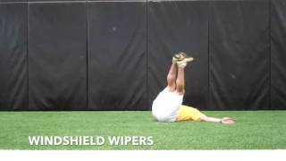 Windshield Wipers: 3D Performance Training