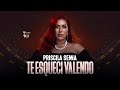 Priscila Senna - Te Esqueci Valendo (Áudio Oficial)