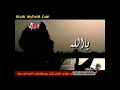 لو عرفو رحمتك عامر منيب