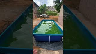 Limpando piscina de plástico #fy #pool #limpeza #satisfying #viral #satisfatorio #satisfação #asmr