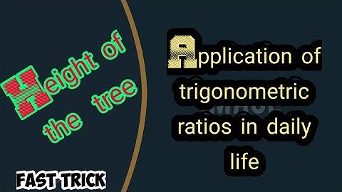 ||Height of the tree||by trigonometric ratio|views15M#informative14
