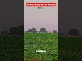 How Drone Do their Task #drone #rc #youtube #engineer #farmer #shetkari #dron #dailydrone #subscribe