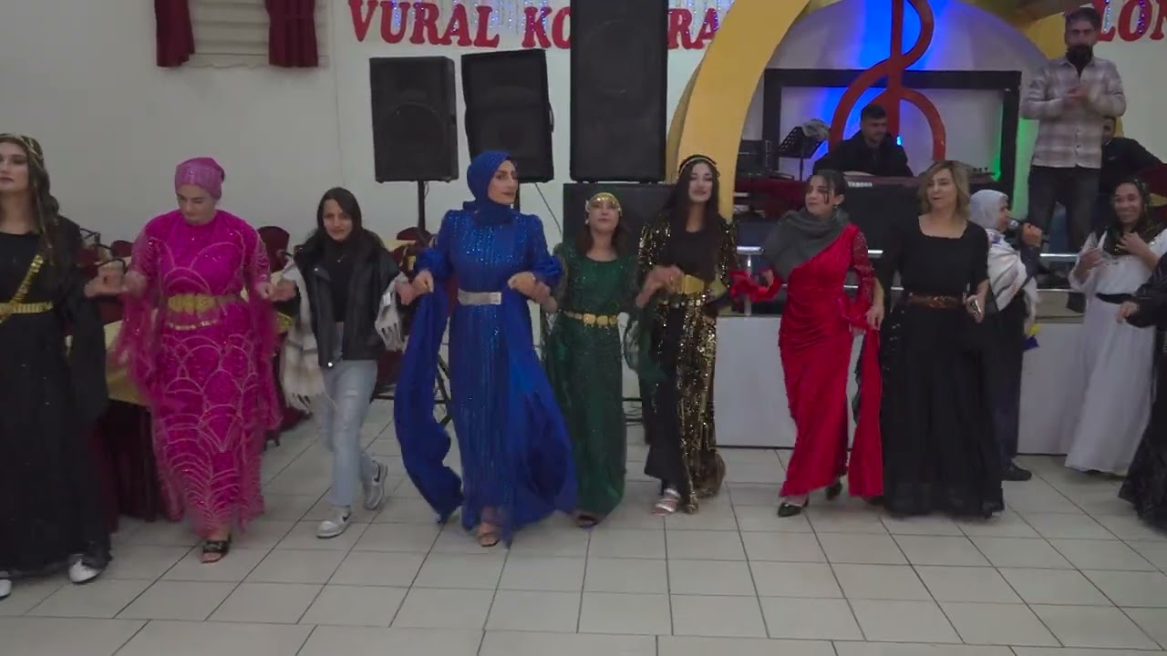 hêna mê ya torîya Seyyid ♾️ heja 