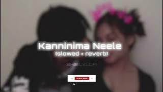 Kanninima Neele | Anwar movie song | slowed reverb