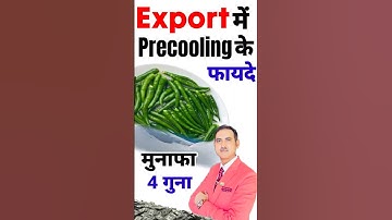 Green chilli export | Chilli Export From India | Pre cooling #rajeevsaini #Export #shorts