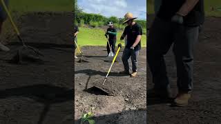 Dancing In The Heat In Sarasota, Fl