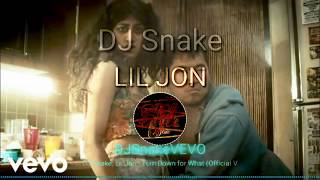 DJ Snake, Lil Jon - Turn Down for What (Official Video)