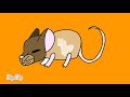 Песня Мышка сосиска крыска ириска