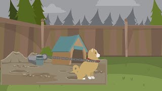 Видео История цепной собаки (автор: Evita Kaleja)