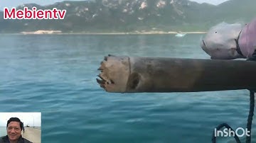 Câu cá vịnh Bắc vẫn phong Khánh hoà