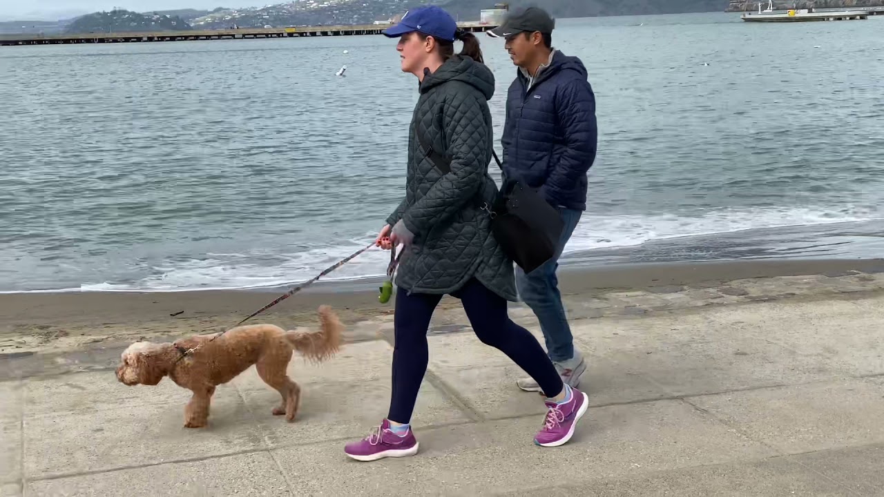 Busting’ Surfboards