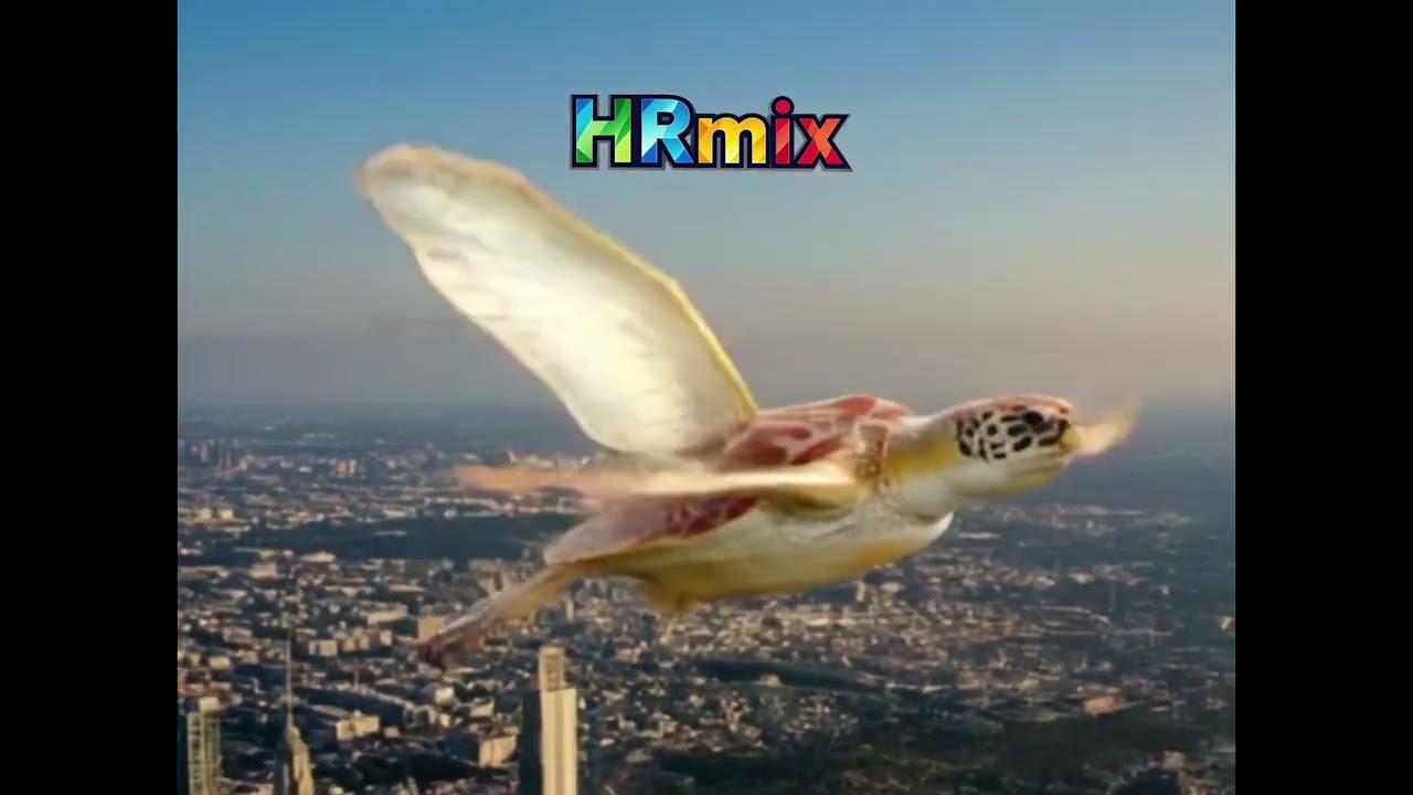 HRmix