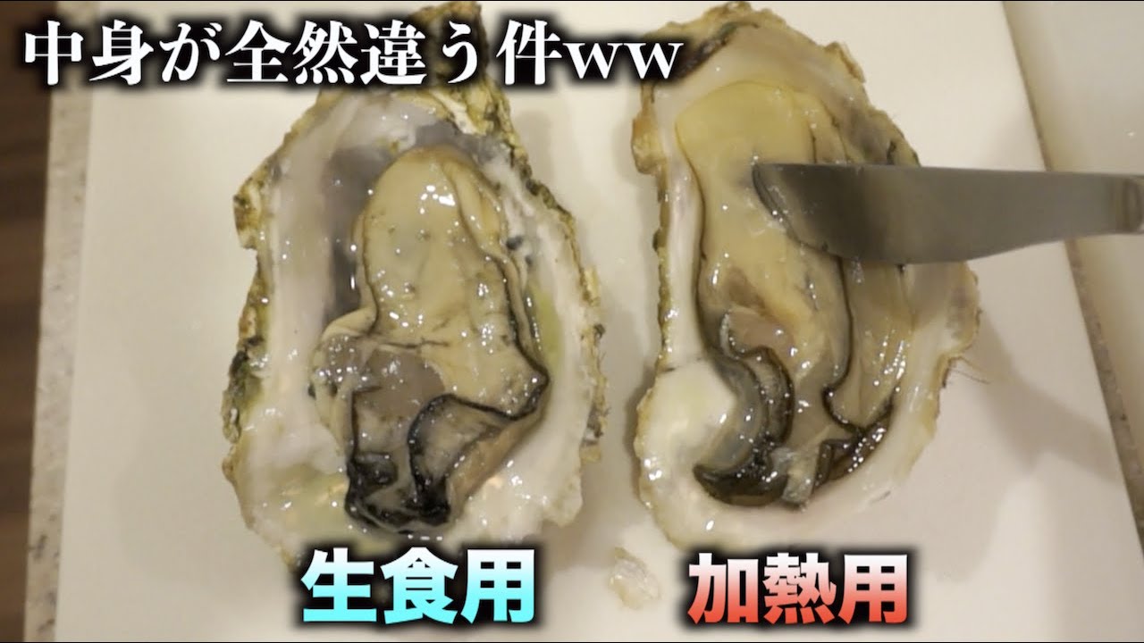 生食用と加熱用の牡蠣を切ったら中身の違いに衝撃の事実が発覚 Youtube 生食用と加熱用の牡蠣を切ったら中身の違いに衝撃の事実が発覚 Youtube