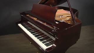 Steinway Essex EGP-161 53 Player Grand Piano Polished Mahogany PianoDisc (E109431)